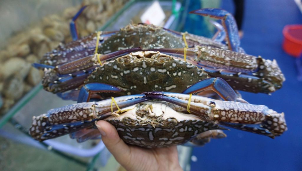 ghẹ xanh Nha Trang