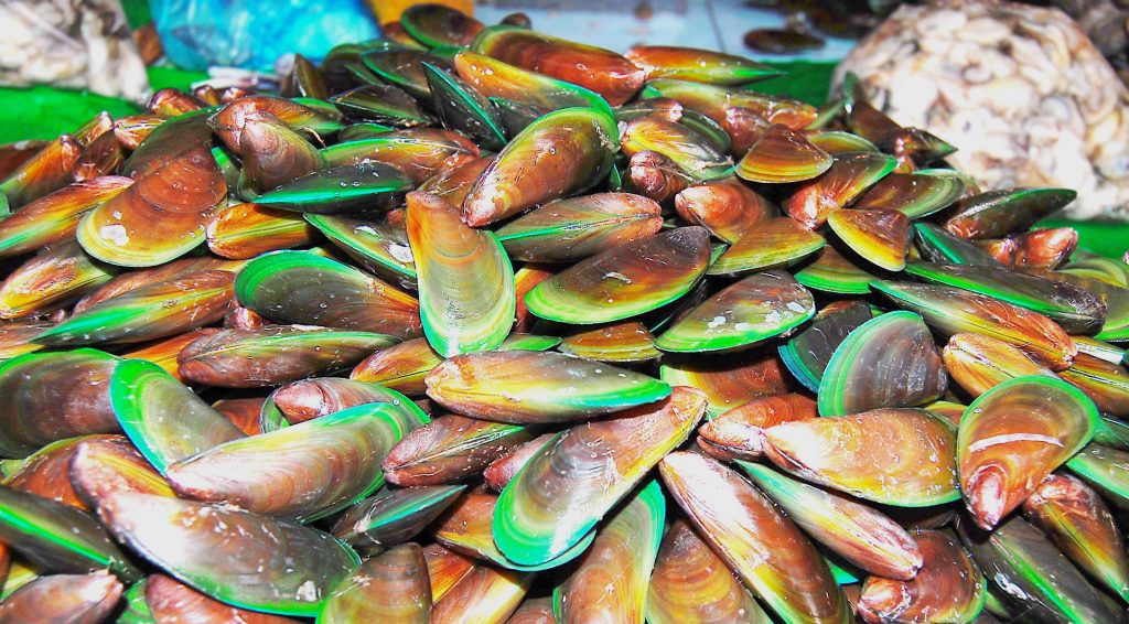 Vẹm Xanh Nha Trang, tươi ngon